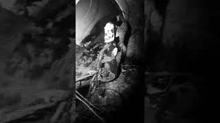 That Howling Skull Entity - Dead Black Waters