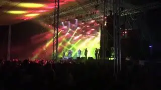 הפוסי של לוסי מארחים את ברק כהן - רכז מידע