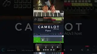 Live performance setup on your iPad with Camelot Pro as your trusted host!