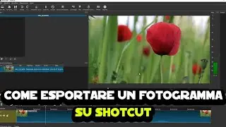 Come esportare un fotogramma su Shotcut