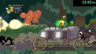 Castle Crashers lvl 256 speedrun 