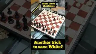 Black Quick Checkmate | Smith - Morra Gambit