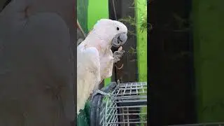 18 мая 2024 г.