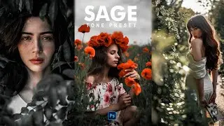 Sage Preset | Photoshop Tutorial | Cinematic Tone 