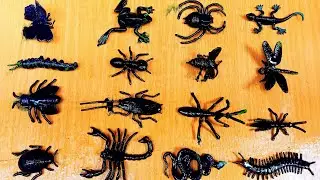 Membersihkan mainan berlumpur hewan serangga,kelabang,katak,kupukupu,ular,cicak,semut,capung,ulat.