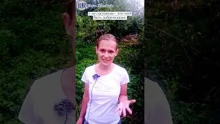 Про помощь другим #ЕленаРимская