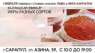 Рыба Январь 2024