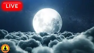 This live stream has ended. We will release a new version of this live stream soon. See link below