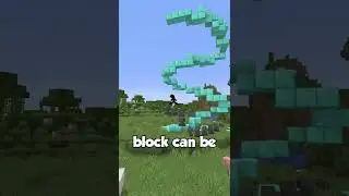 Coolest Minecraft 1.19 Commands!! 
