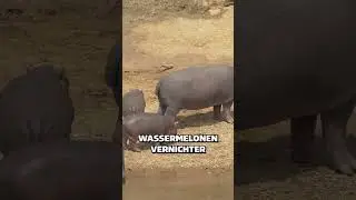 GANZ GEFÄHRLICHES DING