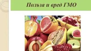 Урок 33 - Концепция ГМО