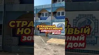 Страшный, но красивый! 
