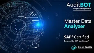 AuditBOT Master Data Analyzer for SAP