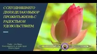 я делаю выбор прожить жизнь с радостью