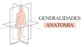 Generalidades de Anatomía | JohanF 🧠😄