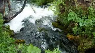 Horvátország - Croatia 2. PLITVICE 2017.06.18