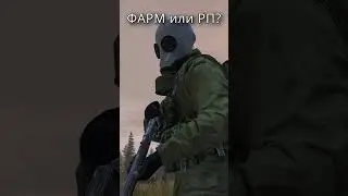 А ЧТО ВИДИШЬ ТЫ? #dayzstalkerrp #dayz #stalker #shorts