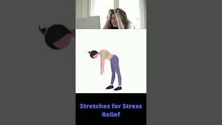 Stretches for Stress Relief