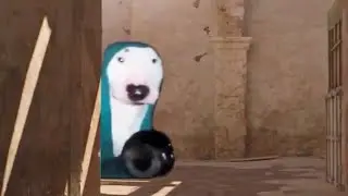 10 Minuted of Random Memes | try not to laugh