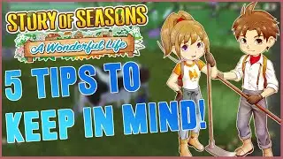 Story of Seasons: A Wonderful Life - 5 Tips to Keep in Mind!