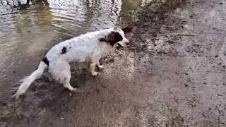 The Mill End Flood.