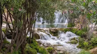 Descubre los parques naturales de la Comunitat Valenciana 