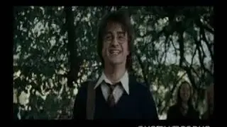 Harry Potter - F.U.N Song!