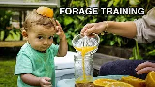 Forager in Training - fresh food in Hawai’i Kimi Werner
