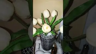 #subscribe