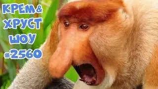 Radio Record Кремов и Хрусталев 😂 Крем & Хруст ШОУ 