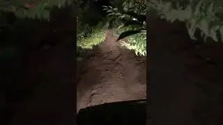 Geyvede Zirai Mücadele gece gündüz devam ediyor-3
