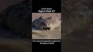 Jordan Blake's: Sigma Rule #3 | To protect your kingdom #sigma #shorts #animals
