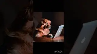 Images generated by ai