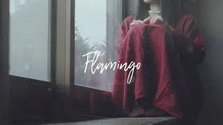 【アカペラ】Flamingo - 米津玄師｜Cover by Groovy groove