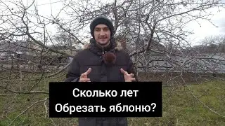 Сколько лет обрезать яблоню?