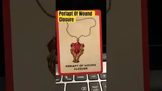 Periapt Of Wound Closure 