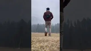 Baisaran Valley in Pahalgam #shorts #kashmir #pahalgam