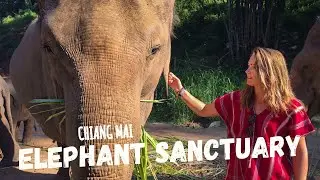 Chiang Mai Elephant Sanctuary