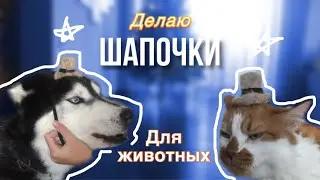 ДЕЛАЮ ШАПОЧКИ ДЛЯ ЖИВОТНЫХ