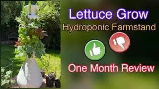 Lettuce Grow Farmstand Review | Hydroponic Farming | No Soil Cultivation