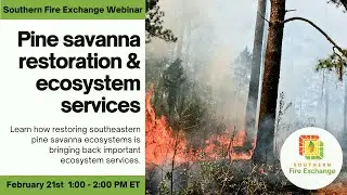 SFE Webinar: Pine Savanna Restoration and Ecosystem Services