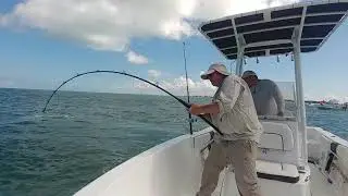 Ohero Crystal Flourocarbon Leader