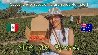 Vlog en Hahndorf 🇩🇪 un pueblo alemán en Adelaide, Australia