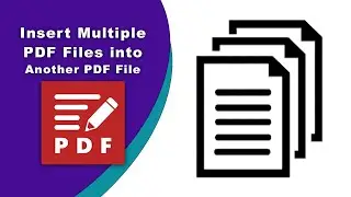 How to insert multiple pdf files into another pdf file in PDF X-Change Editor