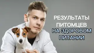 Каких результатов можно достичь с помощью здорового натурального питания.