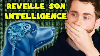 Comment apprendre du vocabulaire à ton chien!