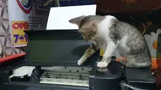 Pusa kong Technician... Antok k gurl? | Meet Kilua