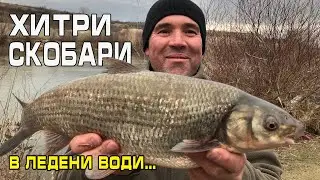 ХИТРИ СКОБАРИ в ледени води