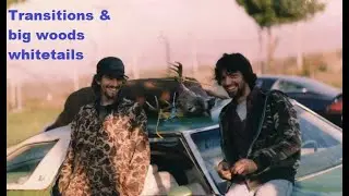 Big woods Transitions...  video #4