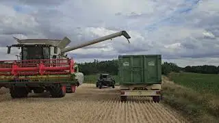 Claas Trion Montana 650  Campaña 2024
